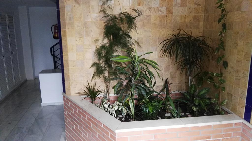 Fan Flat Eugenio (adults Only) Leilighet